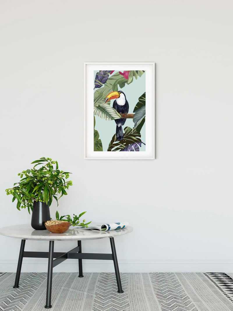 Toco Toucan - View 1