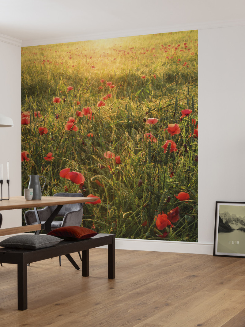 Poppy World I - View 1