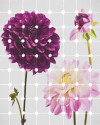 Flowers & Dots - Thumbnail View 1