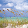 Ocean Breeze - Thumbnail View 1