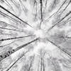 Weiss-Blau - Thumbnail View 1