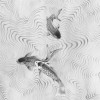 Perfect Pond - Thumbnail View 1
