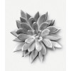 Succulent Agave - Thumbnail View 1