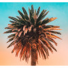 Key West - Slider Item - View 1