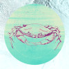Crab Sea - Thumbnail View 1