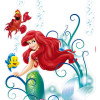 Ariel Seastar - Slider Item - View 1
