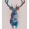 Animals Forest Deer - Thumbnail View 1