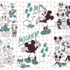 Mickey gone Surfin' - Slider Item - View 1