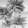 Amazonia Black and White - Slider Item - View 1