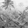 Amazonia Black and White - Thumbnail View 1