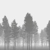 Nebula - Thumbnail View 1