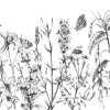 Butterfly Field - Thumbnail View 1