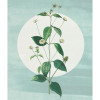 Fable - Slider Item - View 1