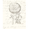Illustration Dahlia - Slider Item - View 1