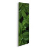 Green-Winged Macaw - Slider Item - View 1