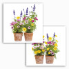 Springtime - Thumbnail View 1