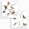 Birds - Thumbnail View 1
