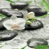 Tropical Concrete - Slider Item - View 1