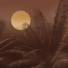 Calypso - Thumbnail View 1
