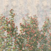 Wall Roses - Thumbnail View 1