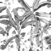 Croissances Monochrome - Thumbnail View 1
