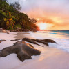 Nature - Thumbnail View 1