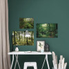 Mystic Birch Grove - Slider Item - View 1