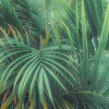 Dschungeldach - Slider Item - View 1