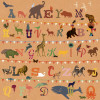 T wie Tiger - Thumbnail View 1