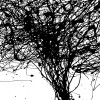 Curls - Thumbnail View 1