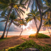 Vertical Paradise - Thumbnail View 1