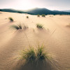 Vivid Dunes - Thumbnail View 1