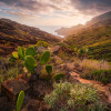Warmes Licht - Thumbnail View 1