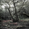 Das Model - Thumbnail View 1