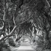 Forevenue - Thumbnail View 1