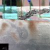 Infinity Prancing mocca - Thumbnail View 1