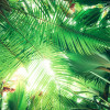 Dschungeldach - Thumbnail View 1
