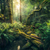 Elves Cathedral - Thumbnail View 1