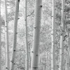 Espenwald - Thumbnail View 1