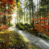 Feuerzungen - Thumbnail View 1