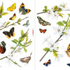 Cheerful - Thumbnail View 1