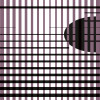 Let me stay black-aubergine - Thumbnail View 1