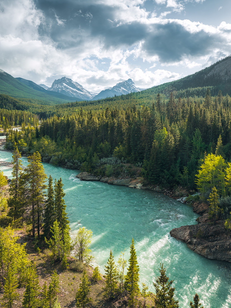 Wild Canada - Thumbnail View 1