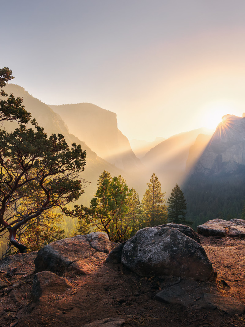 Yosemites Secret - Thumbnail View 1