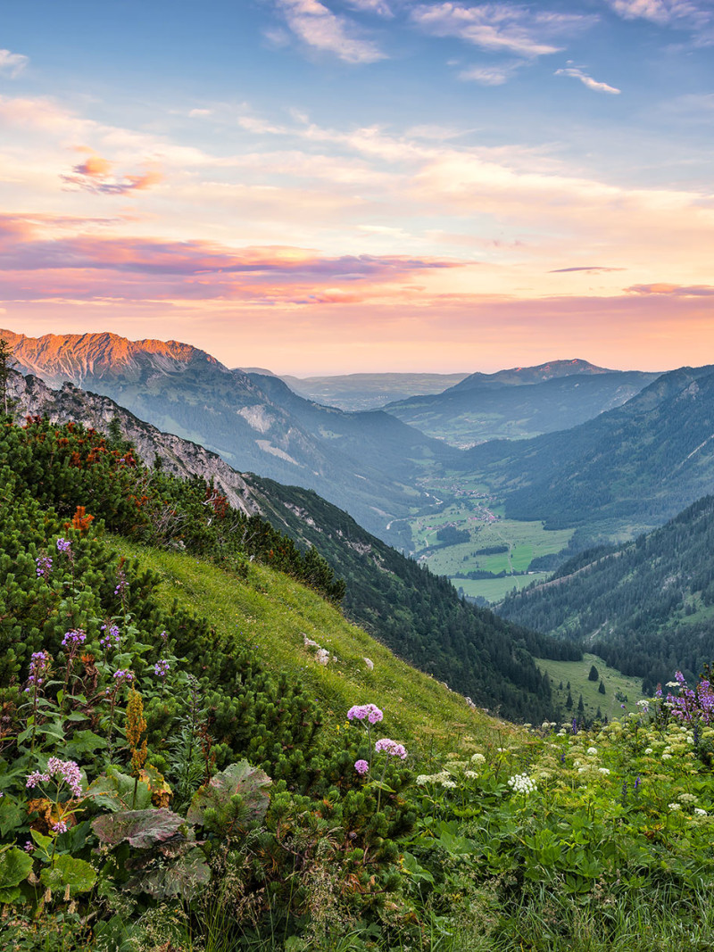 Alps - Thumbnail View 1