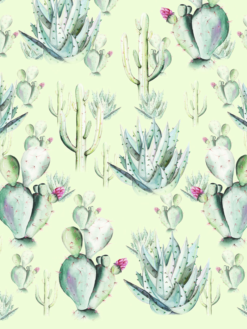 Cactus Green - Thumbnail View 1