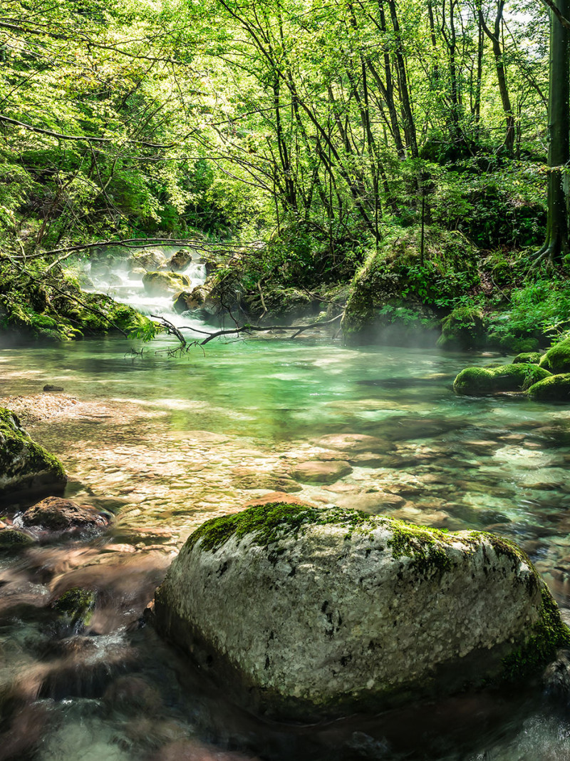 Tranquil Pool - Thumbnail View 1