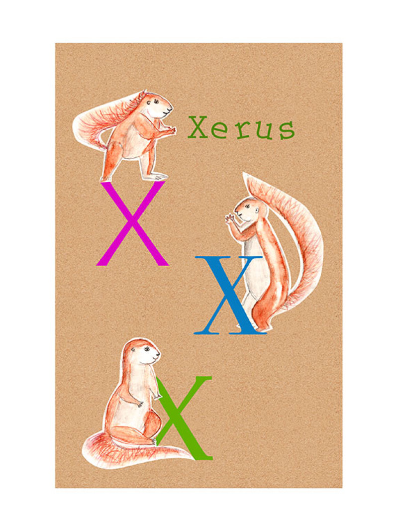 ABC Animal X - Thumbnail View 1