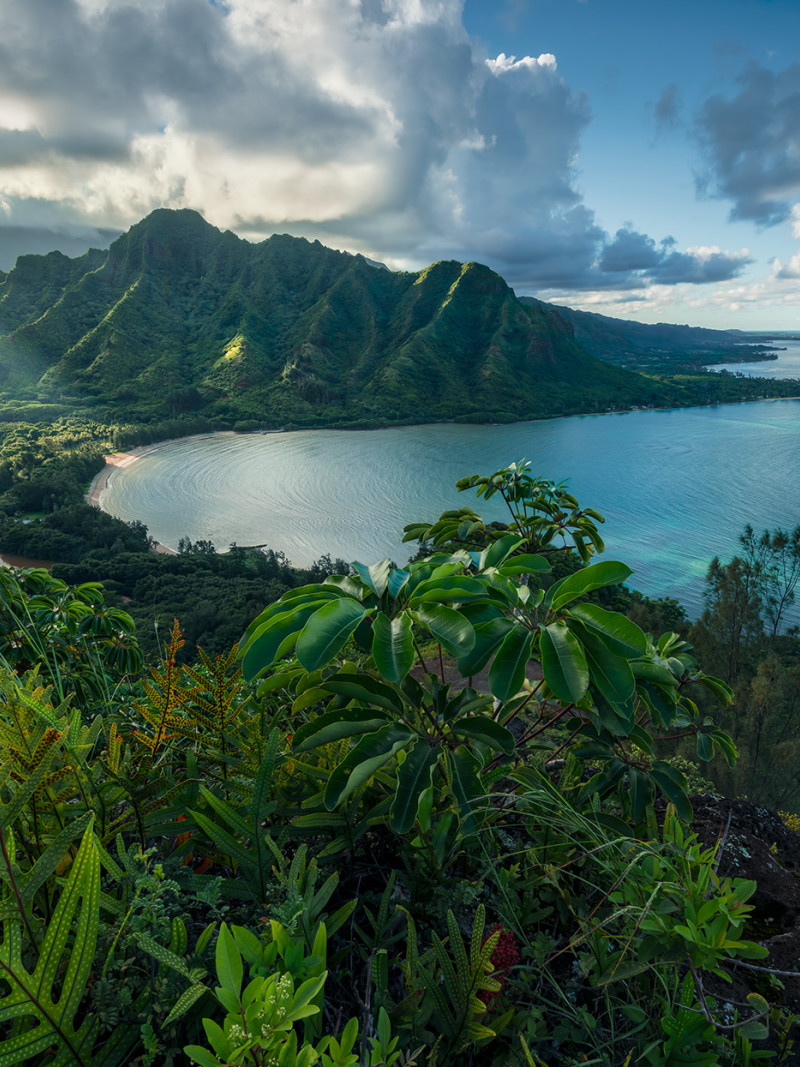 Jurassic Island  - Thumbnail View 1