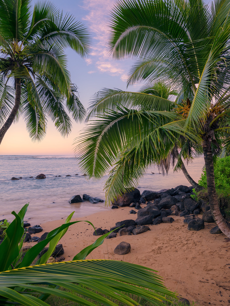 Hawaiian Dreams  - Thumbnail View 1
